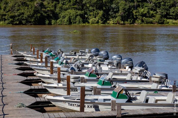 WhatsApp Image 2022-03-25 at 10.48.05(1).jpeg